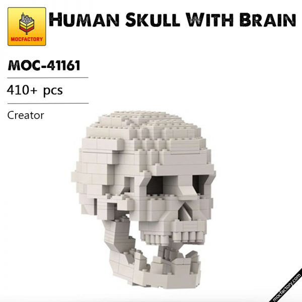 MOC 41161 Human Skull With Brain Creator by MyKidisanAlien MOC FACTORY - MOULD KING
